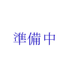 iꗗ